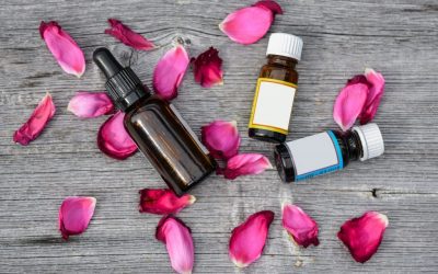 Aceite esencial de rosa mosqueta, el mayor regenerador de la piel